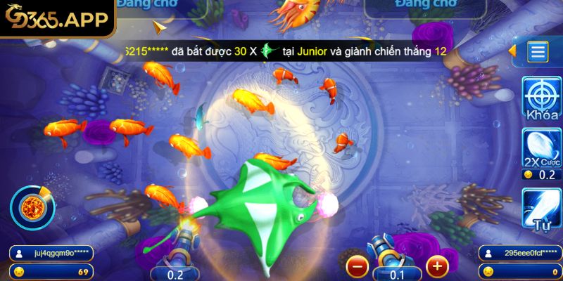 Săn nhiều cá lớn với chiến thuật hiệu quả