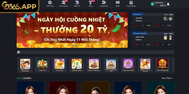 Sáng lập và phát triển chuyên trang của CEO Linh Phong Trần