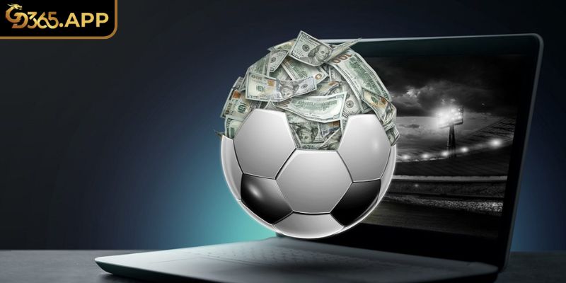 Khám phá tầm quan trọng của kèo sớm GD365